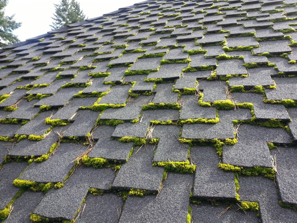 Профессиональная уборка мха с крыши