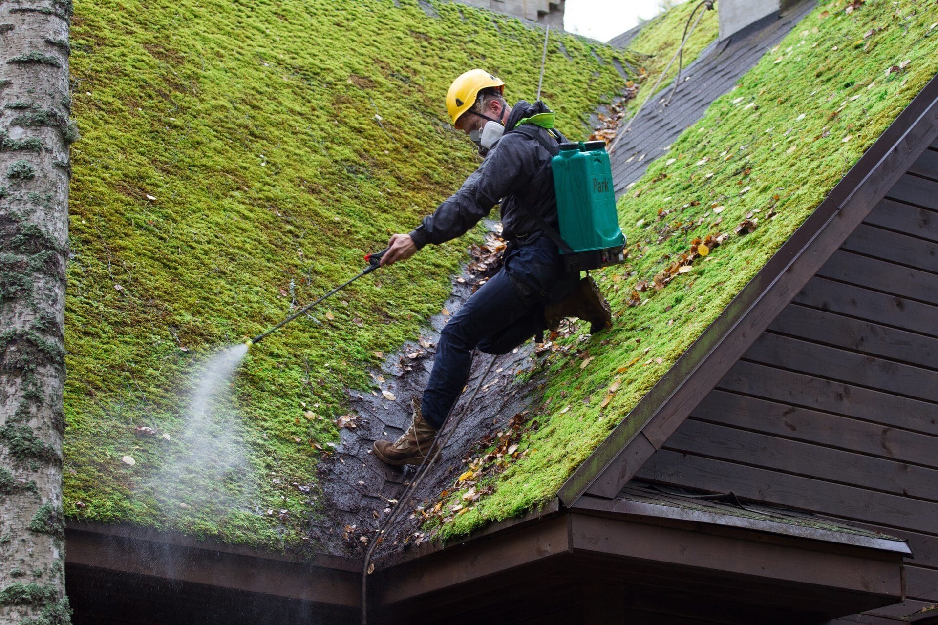 Как убрать мох с крыши: эффективные методы для борьбы со мхом на крыше дома