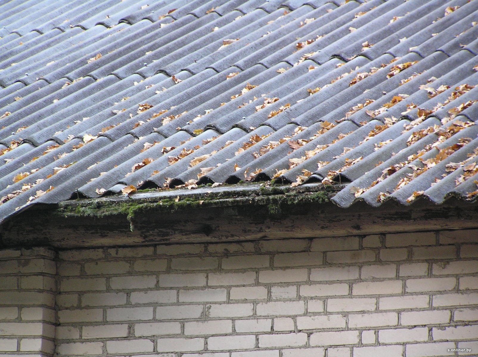 Рекомендации по безопасности при проведении ремонта шиферной крыши: