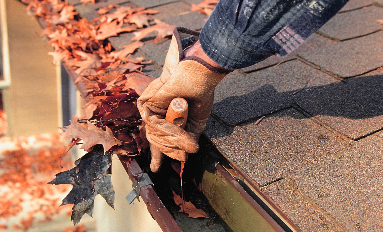 Как предотвратить скопление листвы и веток на крыше