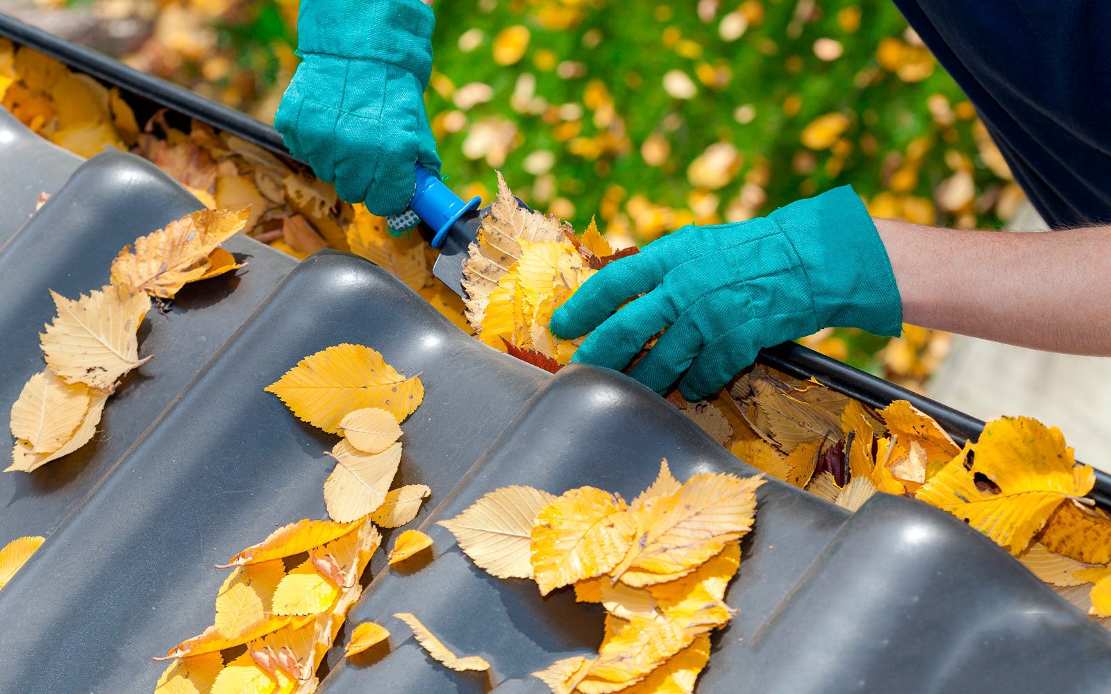 Как правильно очистить крышу от листвы и веток: шаги и советы