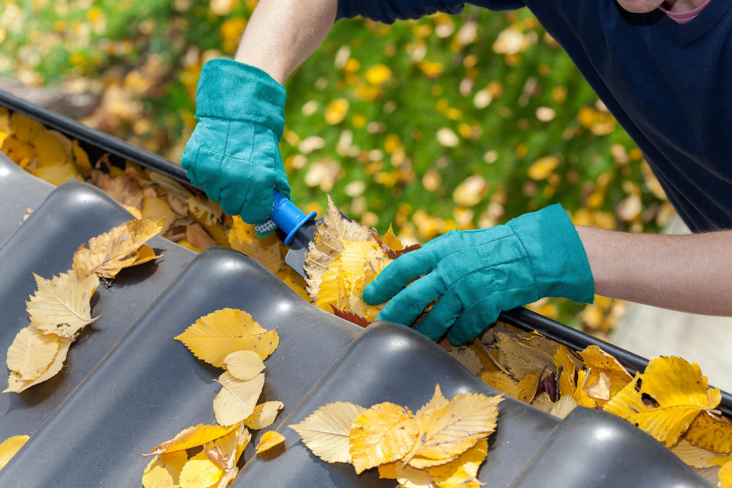 Как правильно очистить крышу от лишнего мусора и листьев