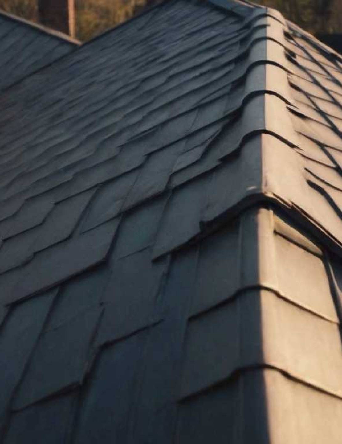 Кровля и защита от грызунов