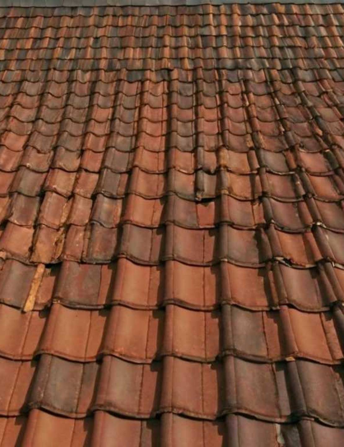 Сотовый поликарбонат: обходные решения при монтаже на сложных конструкциях