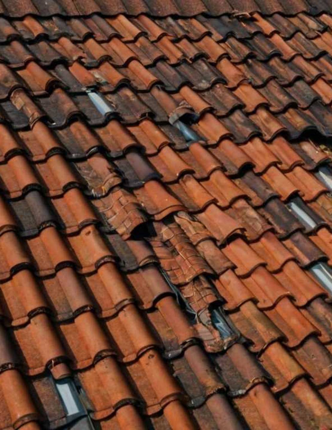 Ондулин: устойчивость к различным нагрузкам