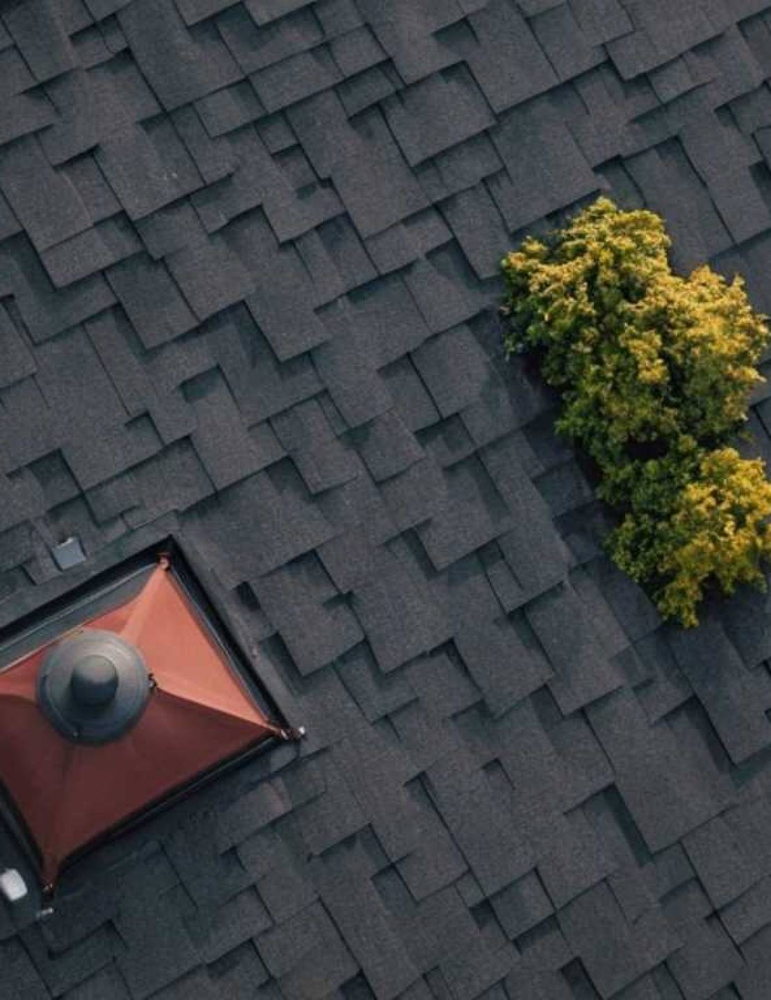 Современные цветовые решения для металлических кровель